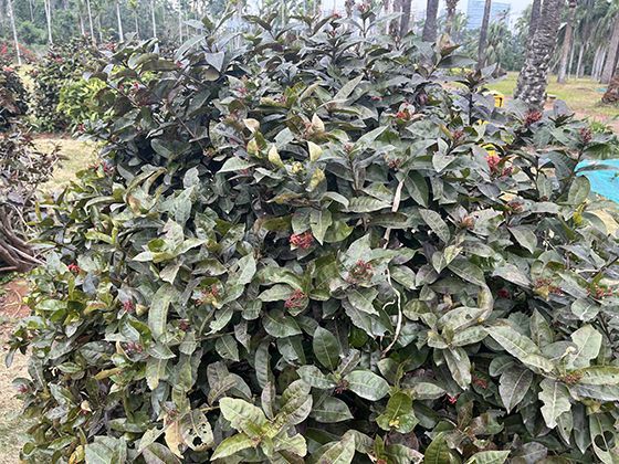 打工人去医院看门诊，医保个人账户支付的比例和规则是怎样的？