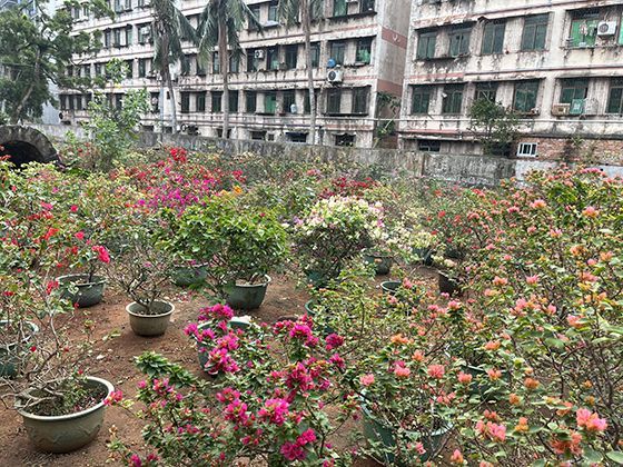 2026年健康指南解读：成年人咖啡因每日安全摄入量是多少