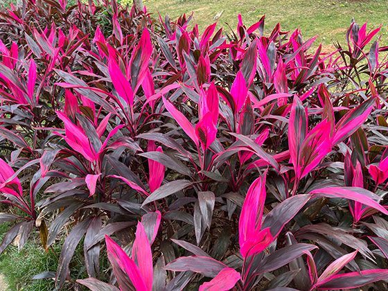 成都育儿假天数：每孩每年10天，父母双方合计可休20天，能一起休吗？