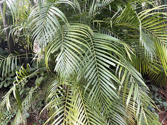 新一代动车组上线，在乘客舒适度与节能方面做了哪些优化？