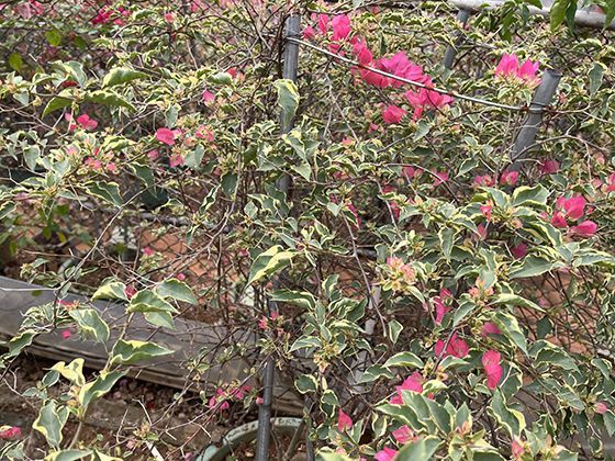 长假后与同事或同学重新相处感到些许隔阂，如何快速重建日常连接？