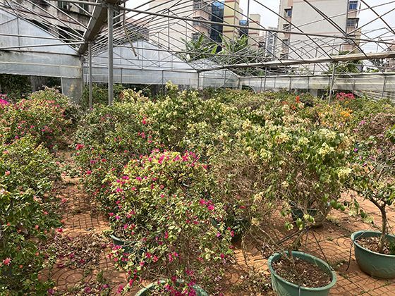 出租屋房东与租客，关于电动车停放充电的安全责任如何划分？