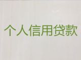 朝阳市朝阳县大额信用贷款-个体户贷款，利息低，放款快