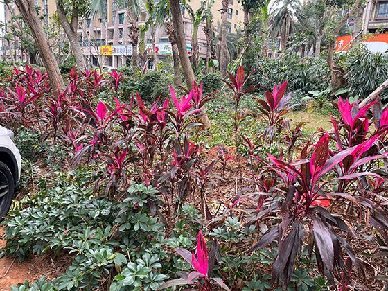 育儿博主分享的“完美生活”为何可能加剧普通父母的压力？