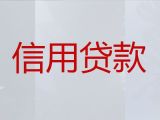 武汉市小额银行信用贷款-企业贷款，银行抵押担保贷款
