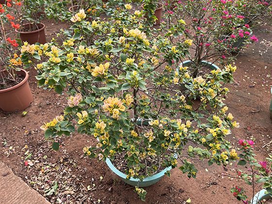 在满减活动中，怎样组合商品才能更接近商家设定的优惠上限？