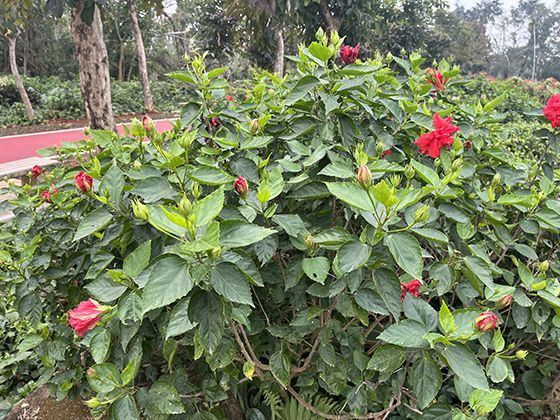 2026年新入职员工签订劳动合同时应重点审核哪些核心条款