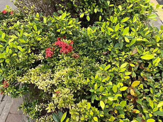 从年终奖看公司文化与团队激励，如何解读其中的信号？