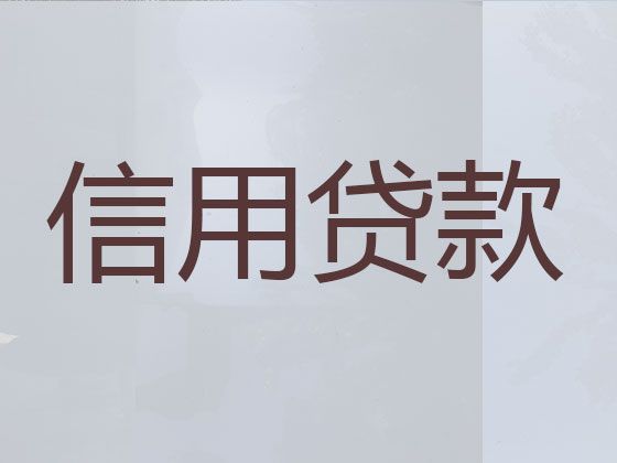 宜宾市兴文县小额贷款-公司营业执照贷款，期限长，办理快