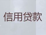 宜宾市兴文县小额贷款-公司营业执照贷款，期限长，办理快
