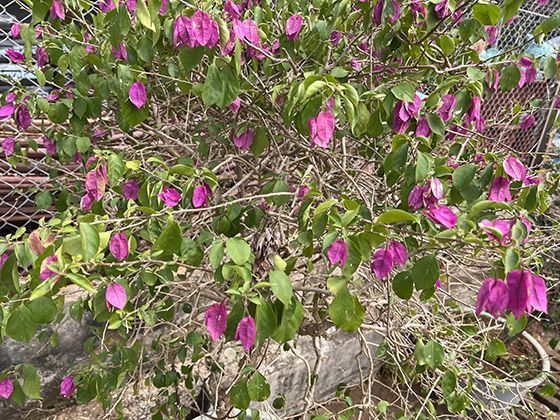 人际交往的“度”：分享隐私不暴露、关心他人不干涉，藏着哪些相处之道？