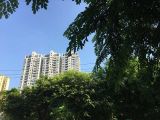 张家川回族自治县房产二次抵押银行贷款-天水市房产抵押贷款条件