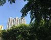 临沂市罗庄区正规房抵贷-办理房产抵押贷款