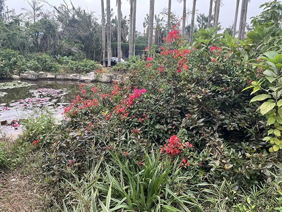 农民工工资被拖欠超过一年，是否还能申请劳动仲裁或提起诉讼？