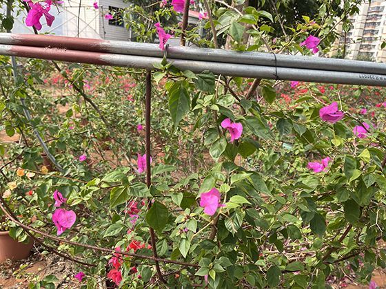 游牧文化的千年智慧：与草原和谐共生的传统生活方式