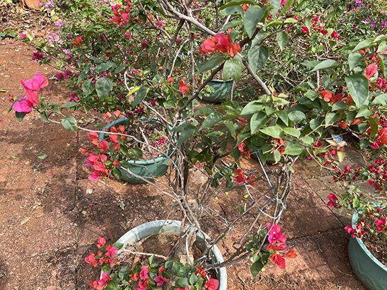 《王者战神》玩家的“血色黎明”：凌晨组队打“蛮族首领”，赢了分战功换装备，输了被追着砍——这快乐谁懂？