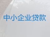 自贡市大安区企业主银行担保贷款|公司大额担保贷款