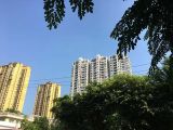 治多县门面抵押贷款|玉树个人房子抵押贷款