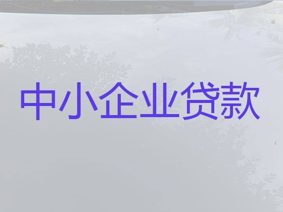 瑞安市企业主银行抵押担保贷款-公司银行贷款，利息低，额度高，还款周期长