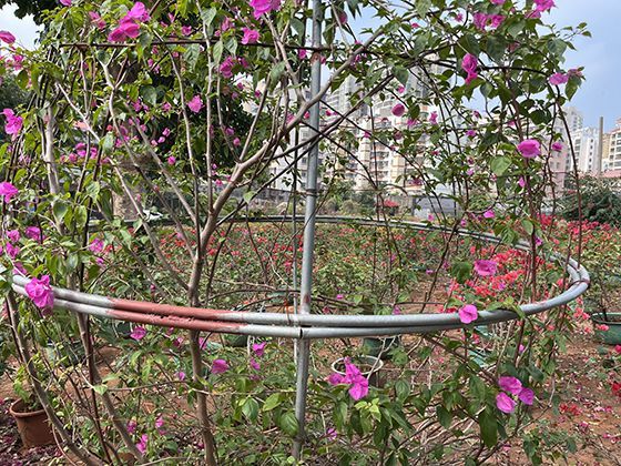 餐饮娱乐场所对于预防顾客醉酒驾驶，应尽到哪些提醒与保障义务？